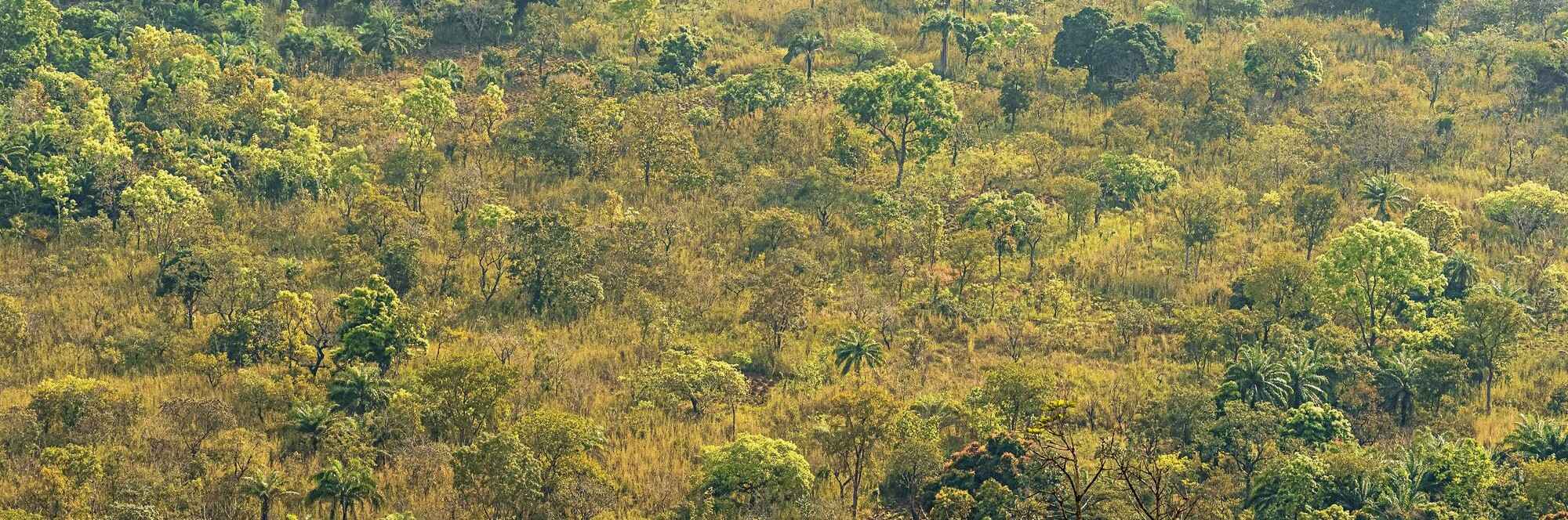 Groupe Fraternel d'Etudes des Questions Africaines